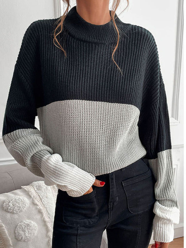 Blocked Style Turtleneck Sweater